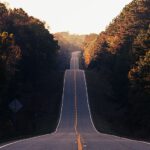 asphalt road between trees