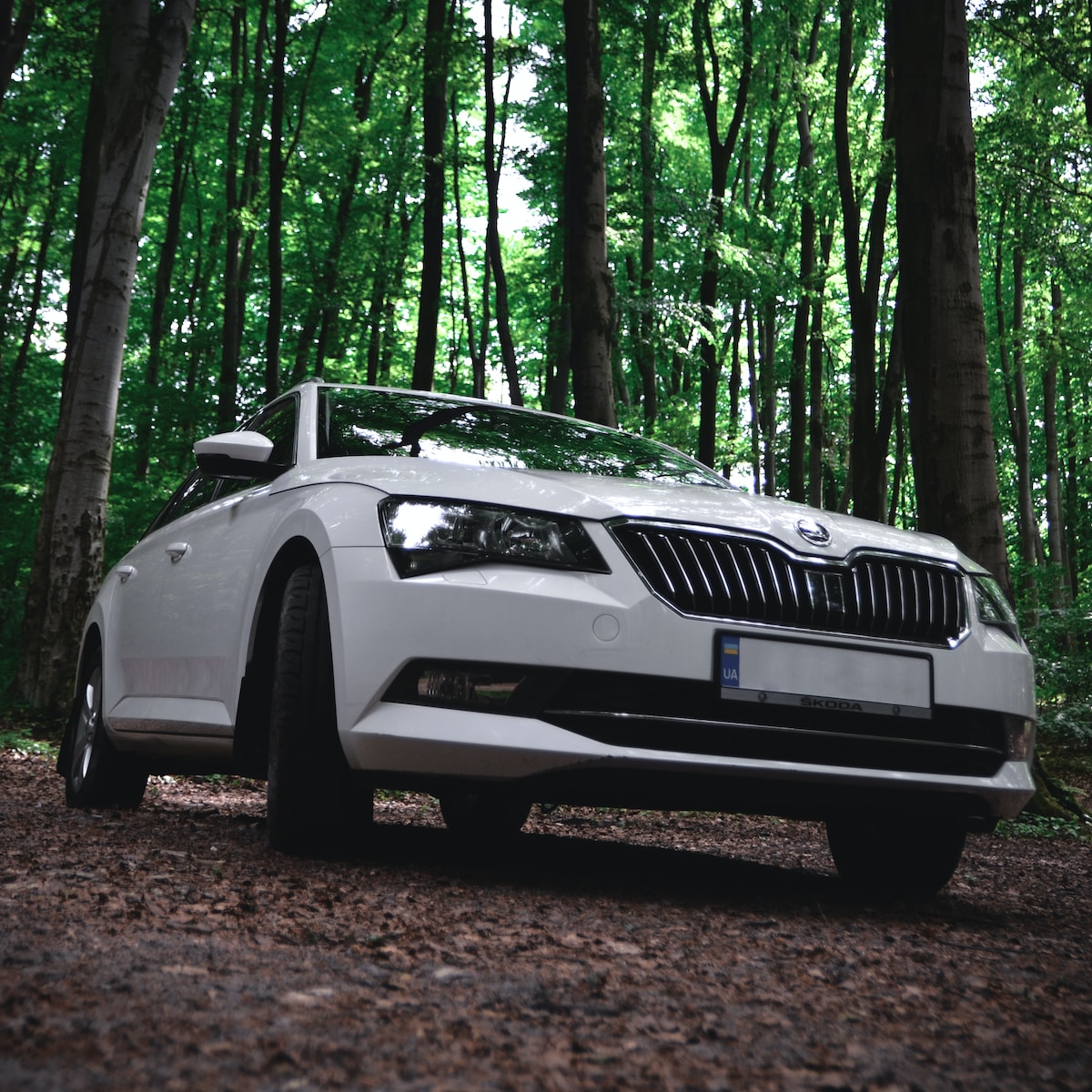 a white car is parked in the woods