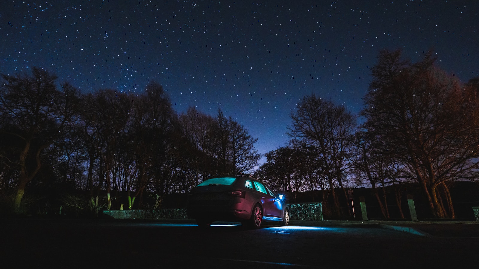 red car surrounded by trees