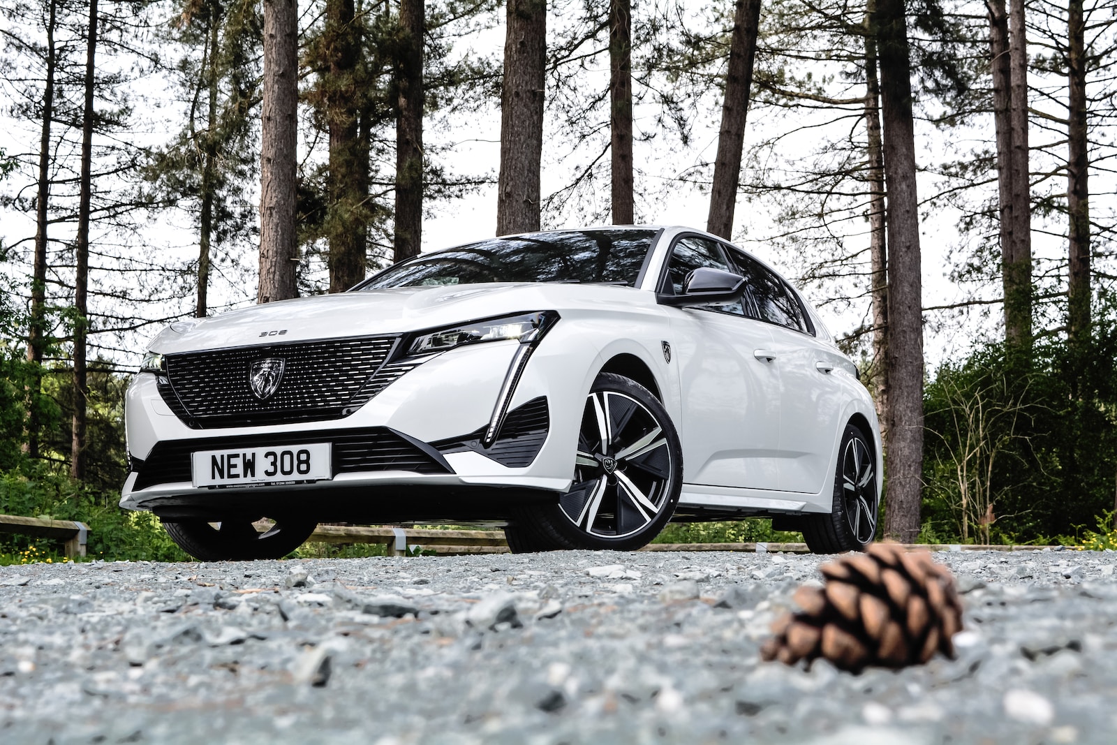 a white car parked in a wooded area