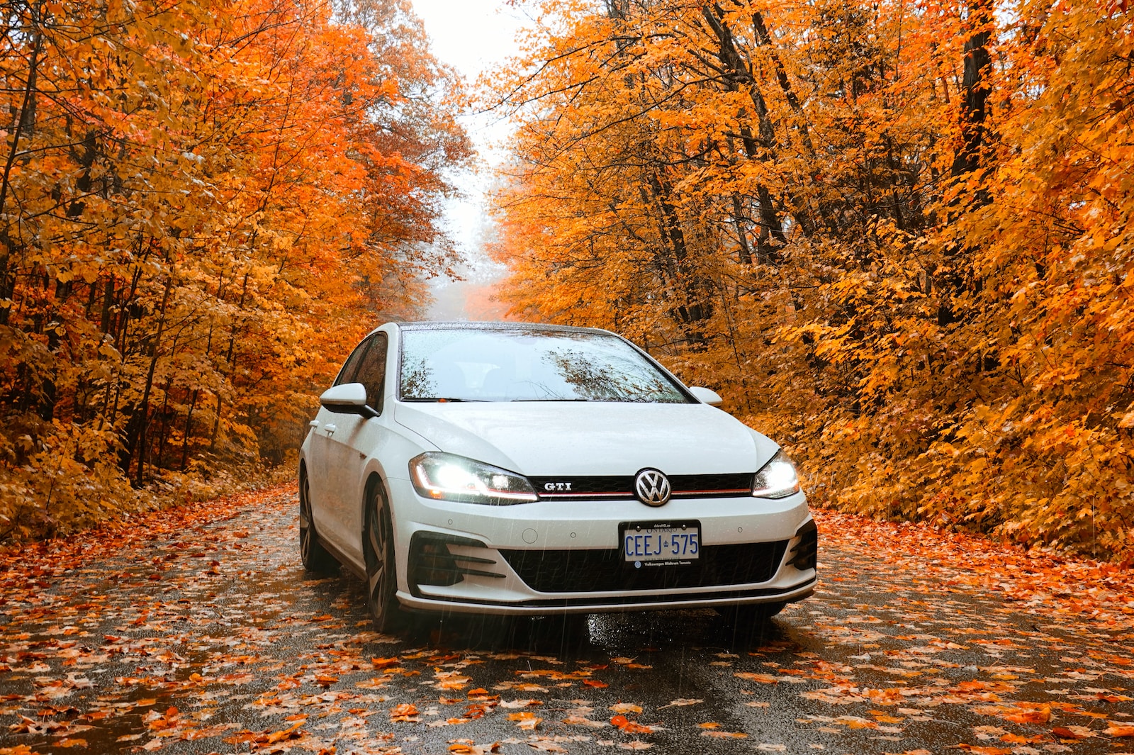 white Volkswagen car on road with dried leaves between orange-leaf trees