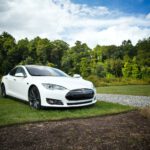 white tesla parked on green grass lawn during day time