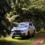 a car parked on a dirt road in the woods